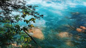 Aguas turquesa con remolinos y rocas visibles junto a ramas verdes, evocando los mejores destinos pesca mosca agua salada brasil.