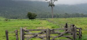 Pradera verde con portón de madera y cerco que conduce a montañas con niebla, evocando los mejores destinos pescar mosca agua salada