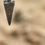 Mejor anzuelo para pesca en hielo - Guía y consejos