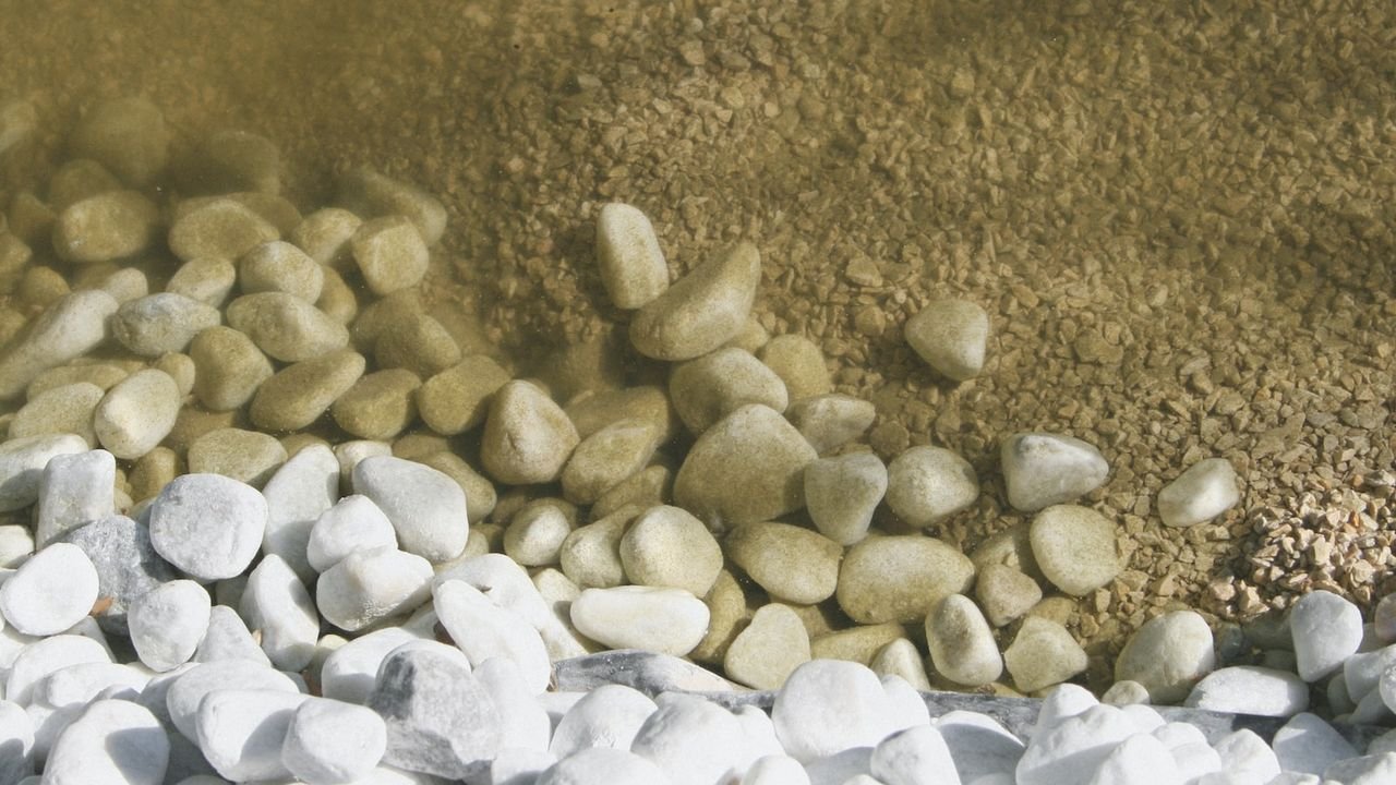 mejores destinos pesca mosca agua salada europa
