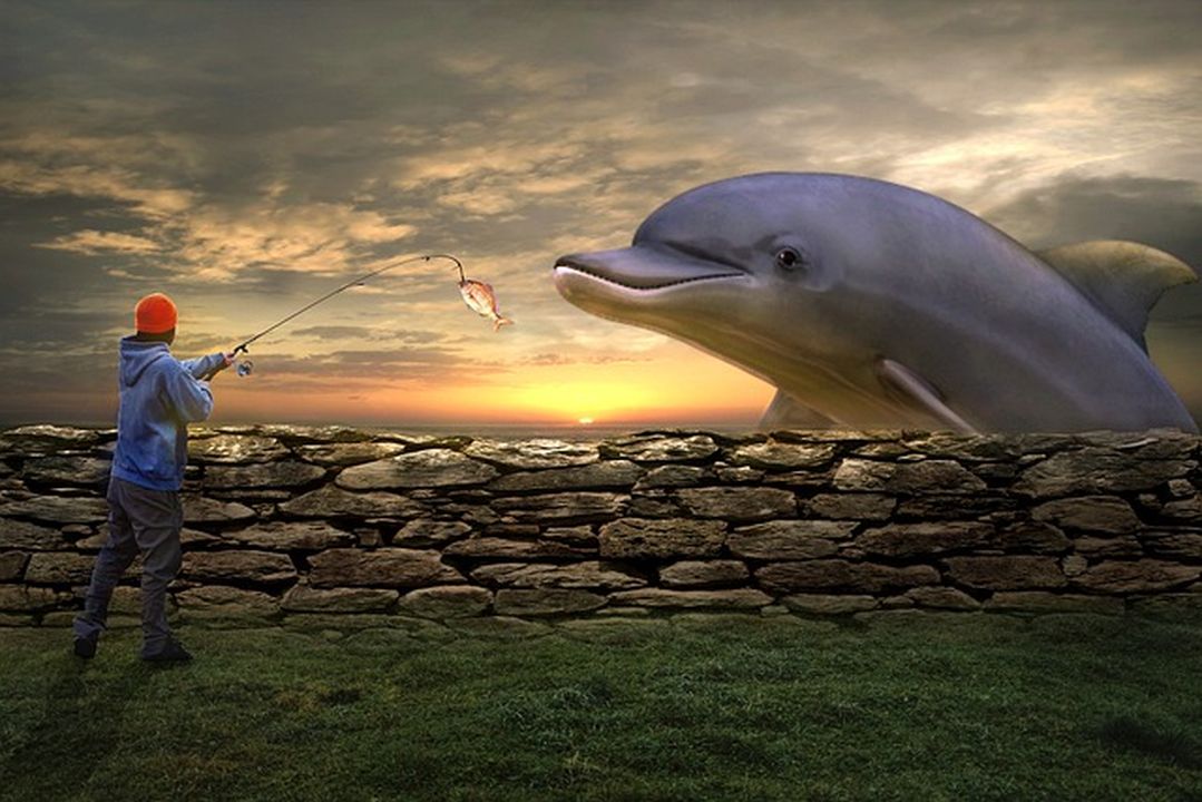Pescador al atardecer junto a un muro de piedra con un delfín gigante asomando, evocando mejores lugares pescar senuelos artificiales pez sierra