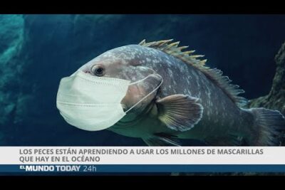 Pez grande con mascarilla quirúrgica en el océano nEAUGpRmxn0.