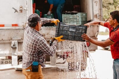 pesca devolucion importancia conservacion