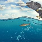 Pesca con mosca en agua salada en el Golfo de México