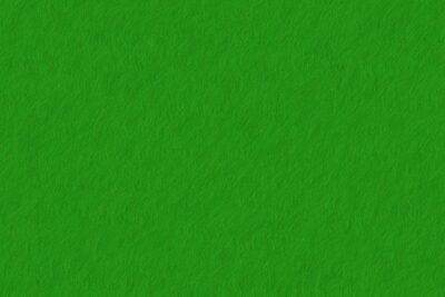Fondo verde texturizado que evoca naturaleza y pesca sostenible metodos respetuosos medio ambiente.