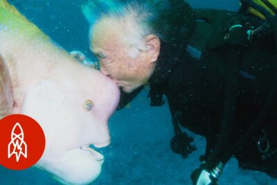 Buzo bajo el agua besando un pez grande y curioso pfwdm5W2lWs.