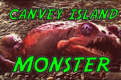 Monstruo marino rojo con ojos saltones y dientes afilados sobre rocas en la orilla y texto 'Canvey Island Monster', ptvhvcpLhN0