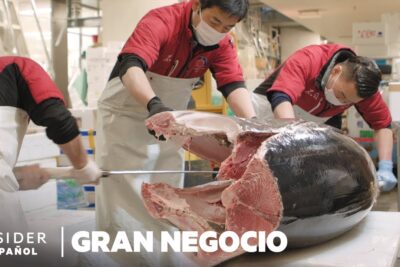 Q 2rH6RdOmA trabajadores fileteando un gran atún con cuchillos y delantal en una lonja