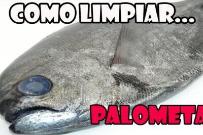 Palometa fresca sobre fondo blanco con texto indicando cómo limpiar