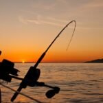 Qué es la pesca ilegal de arrastre: impacto y consecuencias