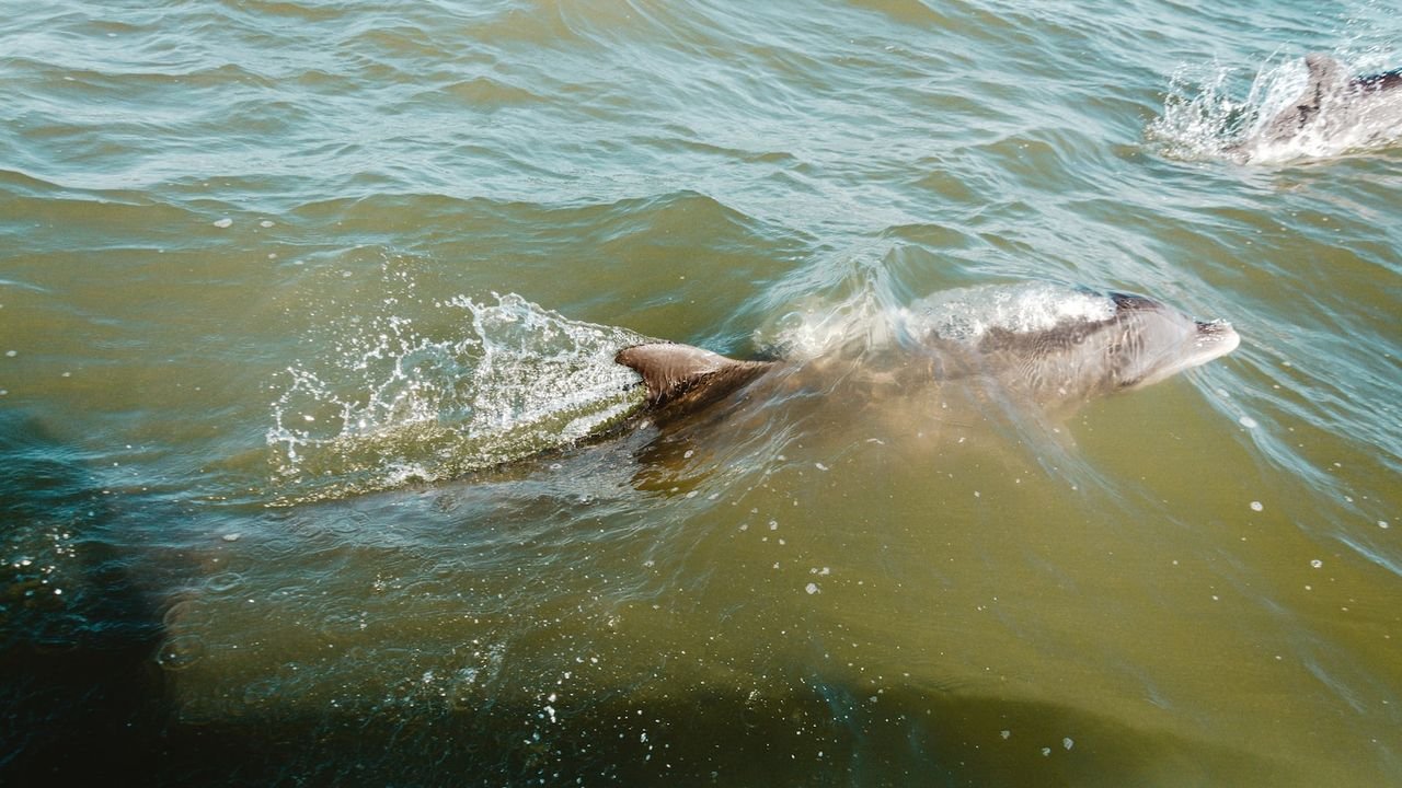 relatos leyendas pesca hielo tradicion fascinante