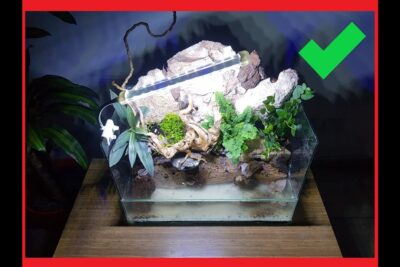 Paludario de cristal con fondo rocoso, tronco y plantas iluminado por tubo LED rvSnynFdAPc