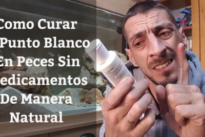Persona señalando un frasco frente a un acuario con peces y texto sobre cómo curar el punto blanco tEHcDLyAUsY