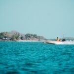Técnicas eficientes de pesca con mosca en agua salada