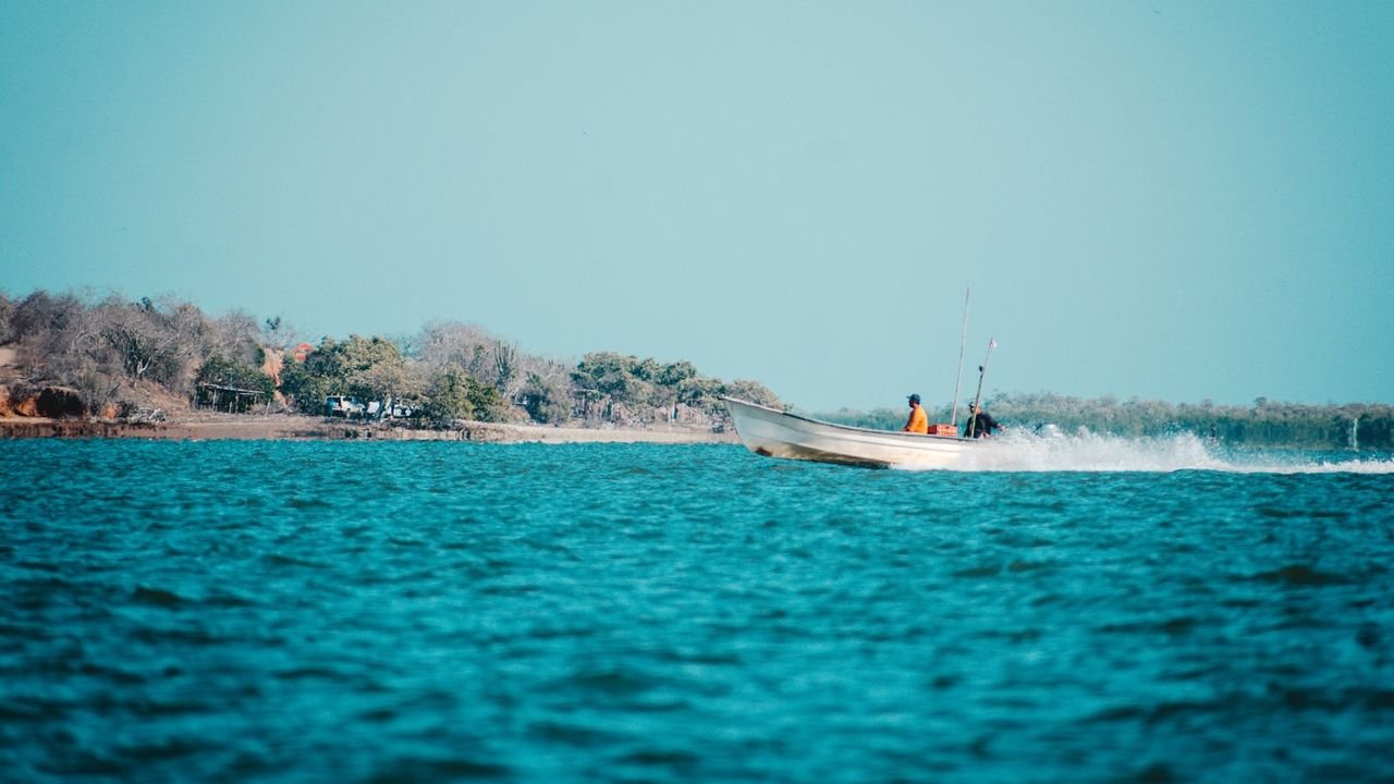 tecnicas pesca mosca agua salada