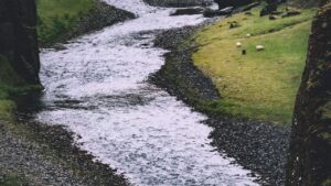 Corriente de río entre paredes rocosas y pasto con ovejas, escenario para la temperatura ideal agua salmon