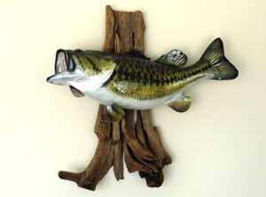Montaje de lubina en madera decorativa que ilustra temporada ideal pescar lubina agua dulce consejos trucos.