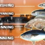 Carretes de Pesca: Mitchell vs. Daiwa para Principiantes y Aficionados