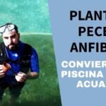 Peces similares naturales: Descubre la diversidad y belleza de las especies acuáticas