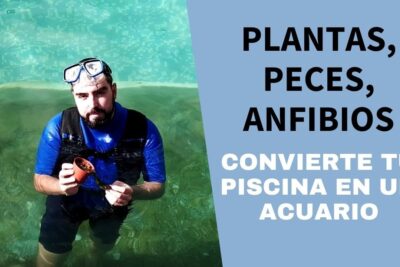 Hombre en piscina con gafas de buceo en la frente sosteniendo una maceta con planta y raíces, promoviendo la idea uNdco GTXx0