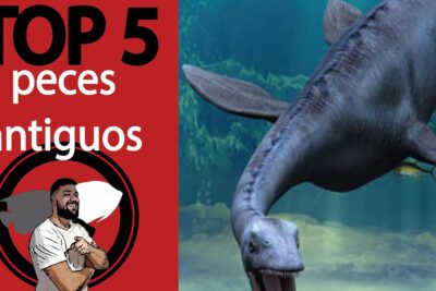 Miniatura con texto 'Top 5 peces antiguos' y un gran reptil marino prehistórico nadando, uxeDdeawS0c.