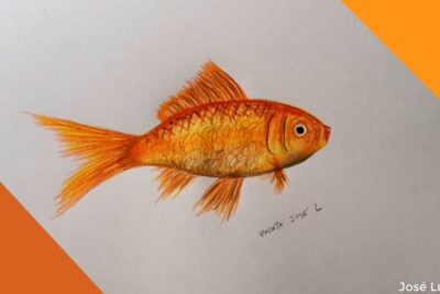 Ilustración de pez dorado naranja vN t1ml3lFA sobre fondo blanco