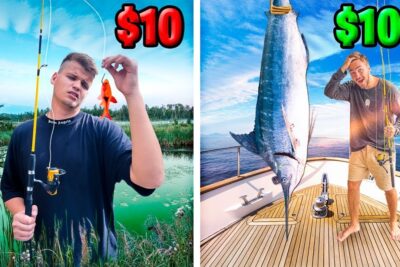 Imagen comparativa de pesca con caña barata en un estanque y gran pez en un yate xAUyfAT69xs