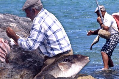 Dos pescadores limpiando y colgando filetes de pescado en unas rocas junto al mar xiO9r6DJqqs