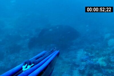 Fusil de pesca submarina con gomas azules apuntando hacia un fondo marino rocoso yVL8W8u6hz4